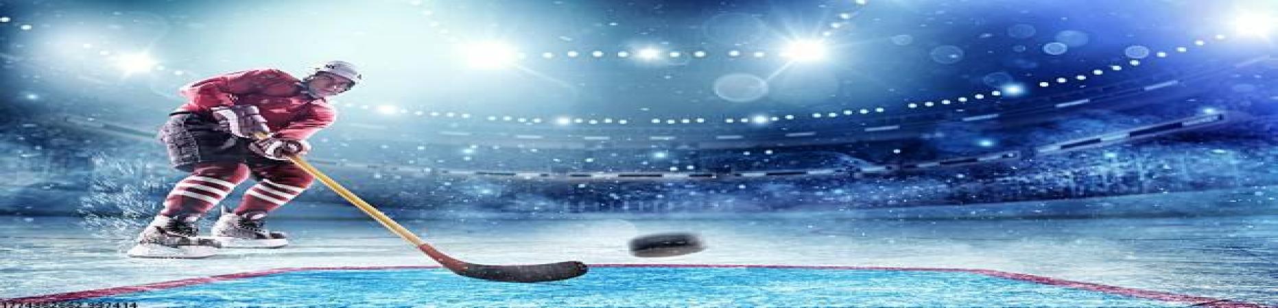 世界杯官方入口全景直播间互动案