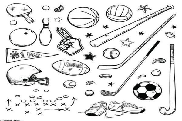 省体育局组织培训通知解读(图1)